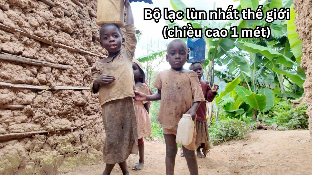 Bộ lạc lùn nhất thế giới (cao trung bình 1 mét) bị đày ra đảo hoang (Phần 1)
